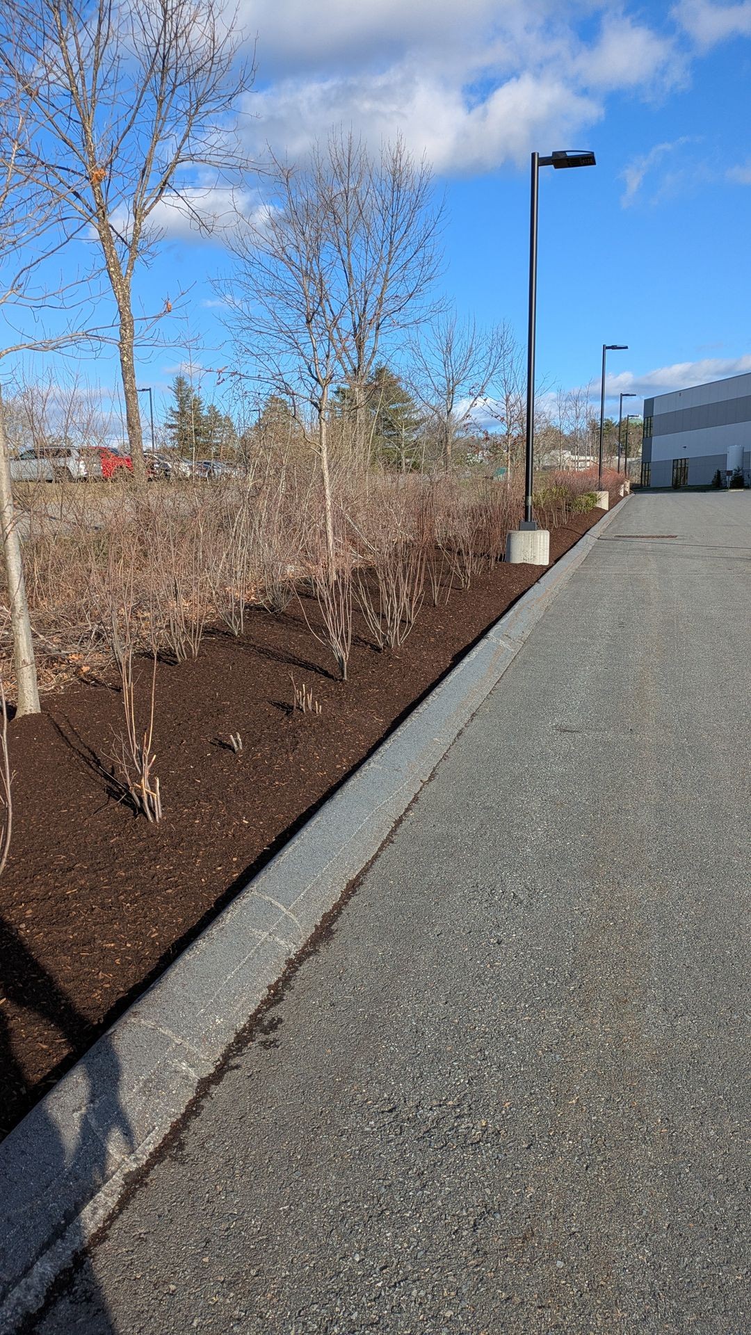 Mulch service 